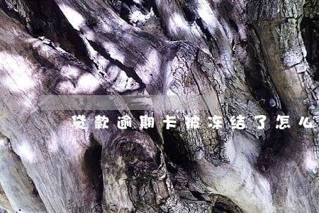 贷款逾期卡被冻结了怎么了 贷款逾期卡被冻结了怎么了