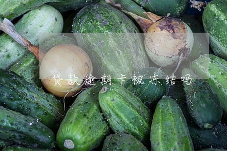 贷款逾期卡被冻结吗 贷款逾期卡被冻结吗