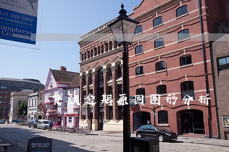 贷款逾期原因图形分析