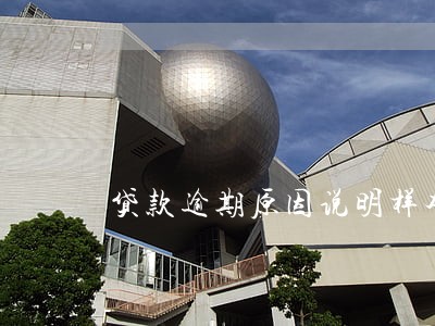 贷款逾期原因说明样本 贷款逾期原因说明样本