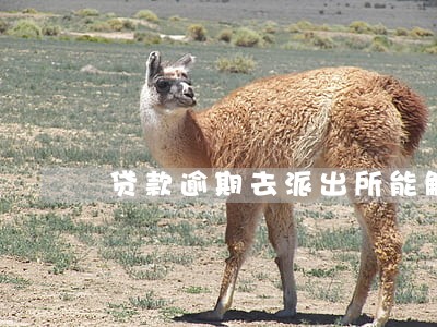 贷款逾期去派出所能解决吗 贷款逾期去派出所能解决吗