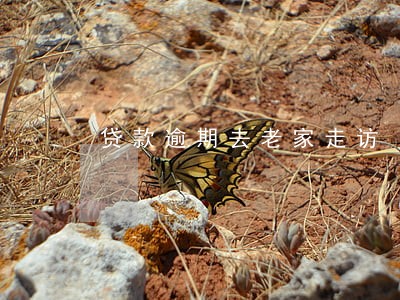 贷款逾期去老家走访 贷款逾期去老家走访