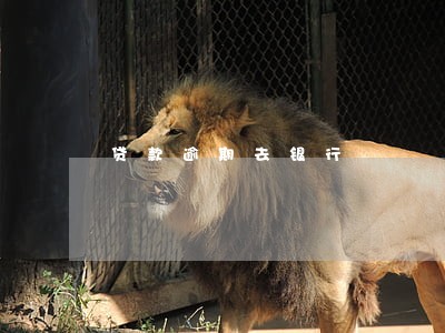 贷款逾期去银行 贷款逾期去银行