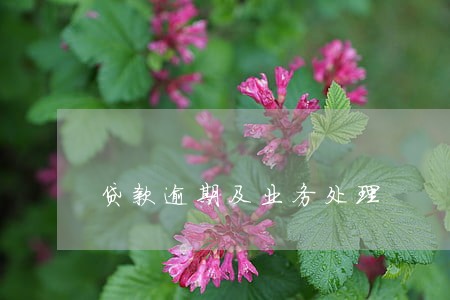 贷款逾期及业务处理 贷款逾期及业务处理