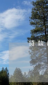 贷款逾期及展期说明 贷款逾期及展期说明