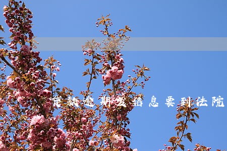 贷款逾期发信息要到法院开庭 贷款逾期发信息要到法院开庭
