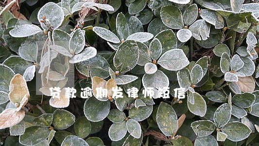 贷款逾期发律师短信 贷款逾期发律师短信