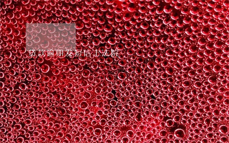 贷款逾期发短信上法院