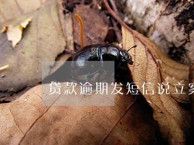 贷款逾期发短信说立案 贷款逾期发短信说立案