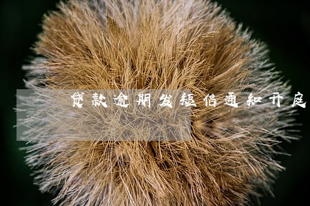 贷款逾期发短信通知开庭 贷款逾期发短信通知开庭