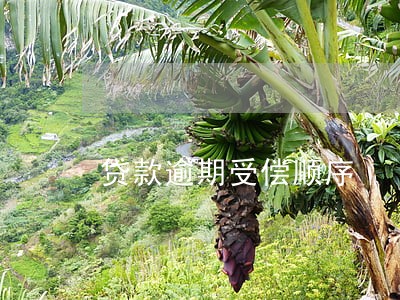 贷款逾期受偿顺序 贷款逾期受偿顺序