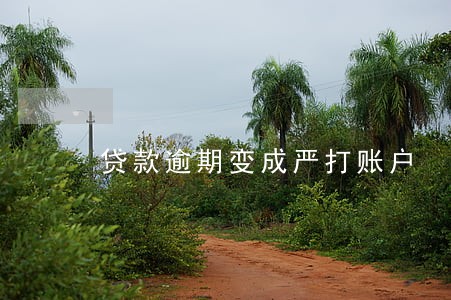 贷款逾期变成严打账户 贷款逾期变成严打账户