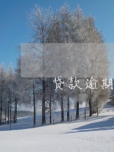贷款逾期只够还本金 贷款逾期只够还本金