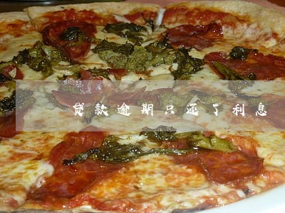 贷款逾期只还了利息 贷款逾期只还了利息