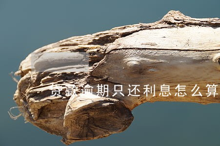 贷款逾期只还利息怎么算的 贷款逾期只还利息怎么算的