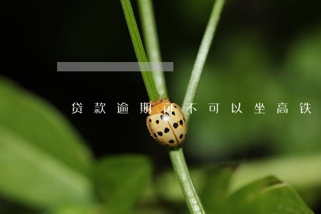 贷款逾期可不可以坐高铁 贷款逾期可不可以坐高铁