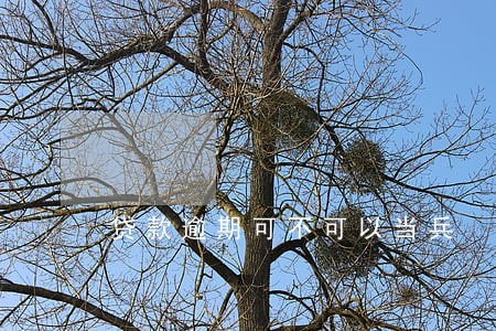 贷款逾期可不可以当兵 贷款逾期可不可以当兵