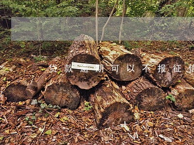 贷款逾期可以不报征信的规定 贷款逾期可以不报征信的规定