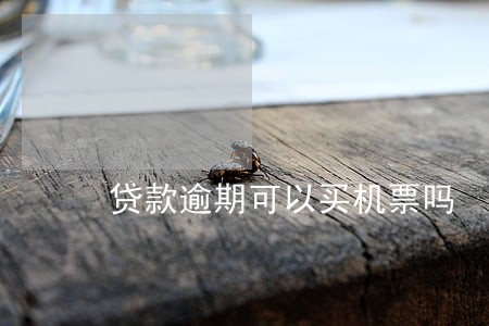 贷款逾期可以买机票吗 贷款逾期可以买机票吗