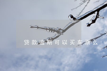 贷款逾期可以买车票么 贷款逾期可以买车票么