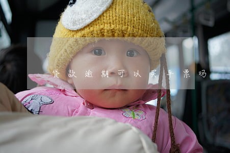 贷款逾期可以买车票吗 贷款逾期可以买车票吗