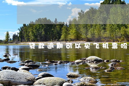 贷款逾期可以买飞机票吗 贷款逾期可以买飞机票吗