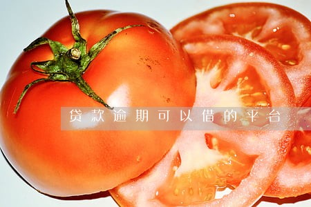 贷款逾期可以借的平台 贷款逾期可以借的平台
