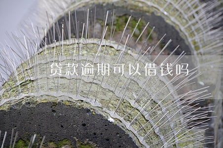 贷款逾期可以借钱吗