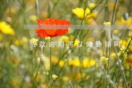贷款逾期可以做卧铺吗 贷款逾期可以做卧铺吗