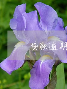 贷款逾期可以做展期么 贷款逾期可以做展期么