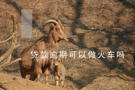 贷款逾期可以做火车吗