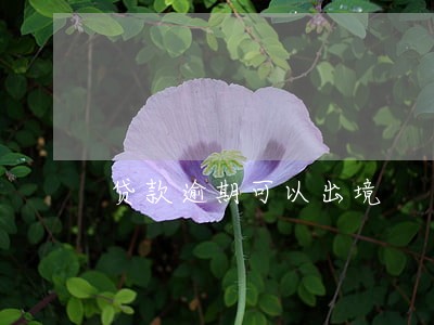贷款逾期可以出境 贷款逾期可以出境