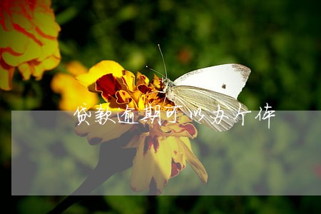 贷款逾期可以办个体 贷款逾期可以办个体