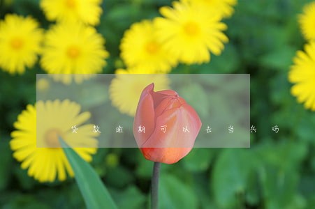 贷款逾期可以去当兵吗 贷款逾期可以去当兵吗