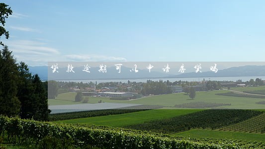 贷款逾期可以申请房贷吗 贷款逾期可以申请房贷吗