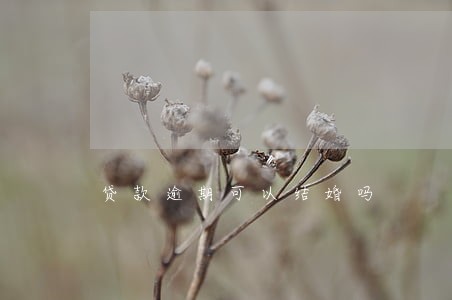贷款逾期可以结婚吗