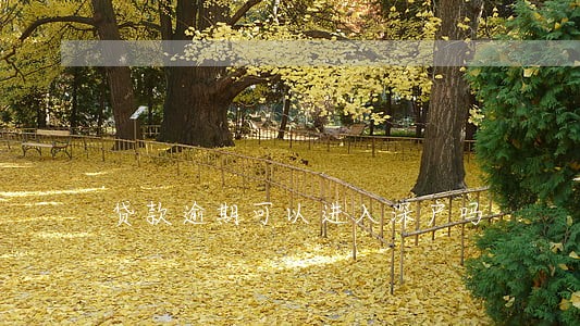 贷款逾期可以进入深户吗 贷款逾期可以进入深户吗