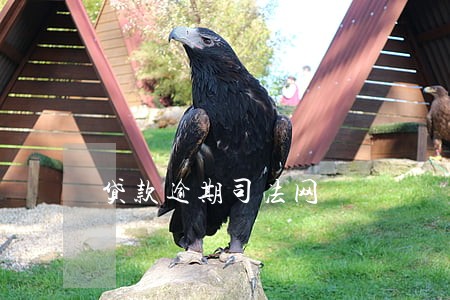 贷款逾期司法网 贷款逾期司法网