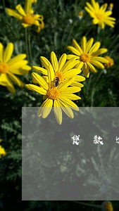 贷款逾期合法利息 贷款逾期合法利息