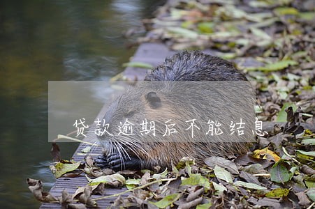 贷款逾期后不能结息 贷款逾期后不能结息