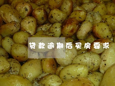 贷款逾期后买房要求 贷款逾期后买房要求