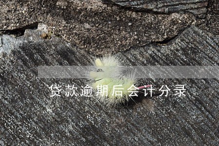 贷款逾期后会计分录 贷款逾期后会计分录