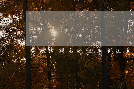 贷款逾期后先还本金还是利息 贷款逾期后先还本金还是利息