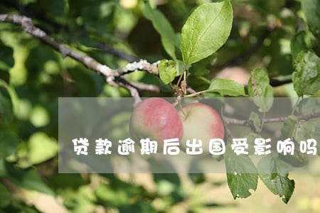 贷款逾期后出国受影响吗 贷款逾期后出国受影响吗