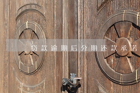 贷款逾期后分期还款承诺书 贷款逾期后分期还款承诺书