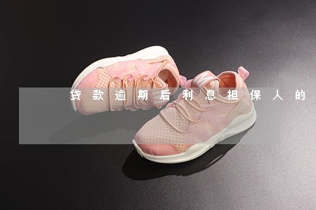 贷款逾期后利息担保人的责任