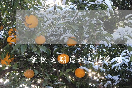 贷款逾期后利息生息吗 贷款逾期后利息生息吗