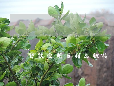 贷款逾期后利息积欠 贷款逾期后利息积欠