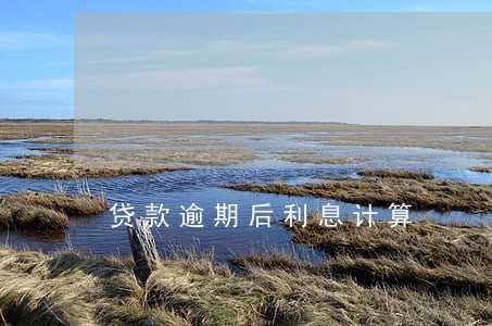 贷款逾期后利息计算 贷款逾期后利息计算