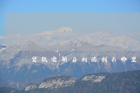 贷款逾期后利滚利去哪里解决 贷款逾期后利滚利去哪里解决